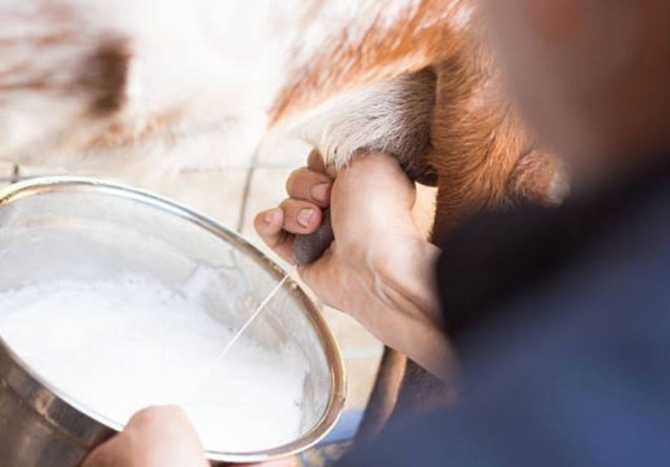 Jabón con Aceite de Oliva: Leche de Cabra